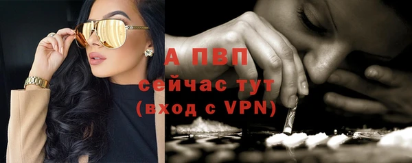 дживик Беломорск